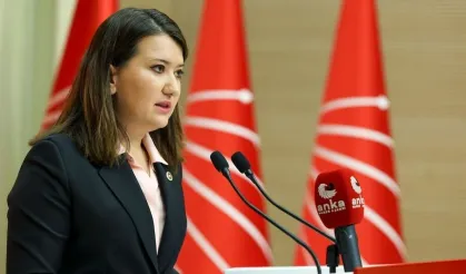 CHP'li Gökçen'den 'Durbay' paylaşımında isim vermeden yüklendi: Ahlak yoksunları..