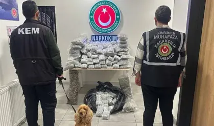 Bakanlık duyurdu: 659 kilo 'zehir' ele geçirildi