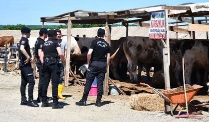 Tekirdağ'da kurban kavgası: 5 yaralı, 5 gözaltı!
