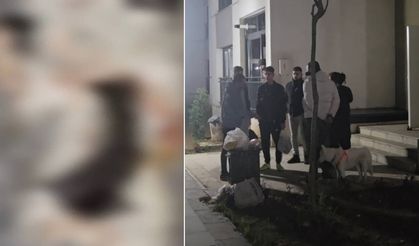 Vahşet : Sitede 4 yavru kedi parçalanarak öldürüldü iddiası