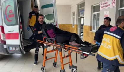 'İneğin bostanıma girdi' kavgası: 1 ölü, 3 yaralı