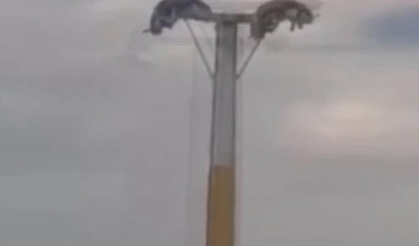 Lunaparkta arızalanan oyuncakta baş aşağı mahsur kaldılar