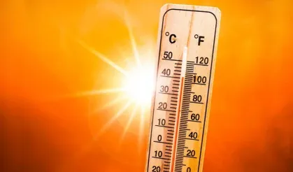 Avrupa'da yüksek sıcaklıklar nedeniyle 1300 can kaybı!