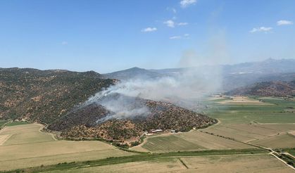 Aydın'da zeytinlik alanda çıkan yangın kontrol altına alındı