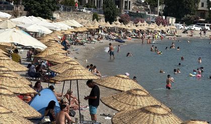 Bodrum sahillerinde yoğunluk!