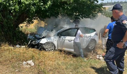 İzmir'de feci kaza: Son sürat ağaca çarptı!