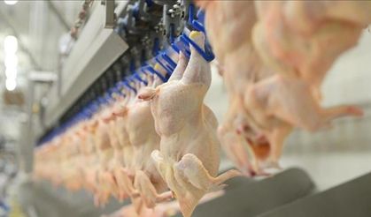 ‘Beyaz et’ soruşturmasında yeni gelişme: 29 kişiye adli kontrol