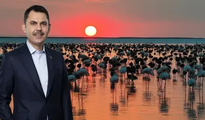 Bakan Kurum'dan 'Flamingo' paylaşımı!
