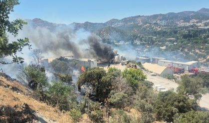 Bodrum'da konteynerde çıkan yangın makilik alana sıçradı