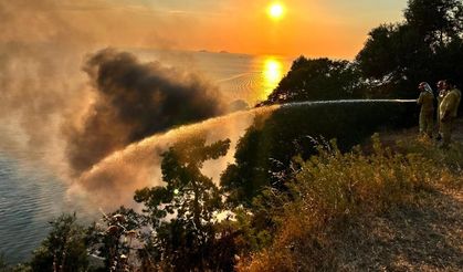 Büyükada'da plajda yangın çıktı