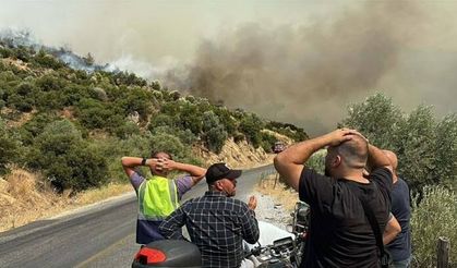 Aydın'daki yangın kontrol altında!