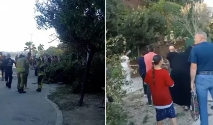 Toprak kayması: Arama-kurtarma çalışması başlatıldı