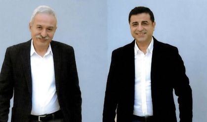 Demirtaş ve Mızraklı'dan ortak 'çerçeve yasa' açıklaması