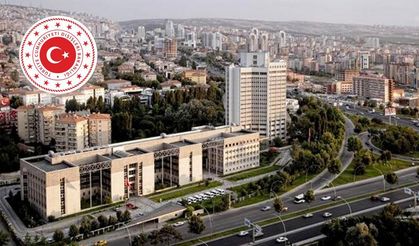 Türkiye'den AP'ye tepki: Tarihi gerçekler çarpıtılıyor