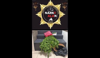 İzmir'de 'zehir' evine baskın: 1 tutuklama!