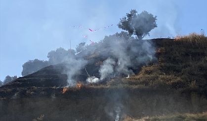 Manisa'da tarım arazilerine sıçrayan yangın söndürüldü