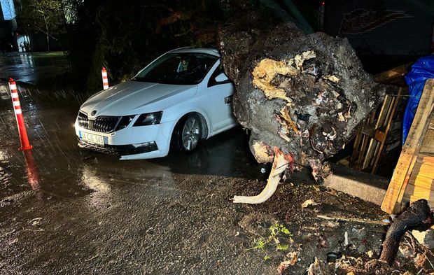 Ağaçlar devrildi, çatılar uçtu... İzmir'de sağanak manzaraları!