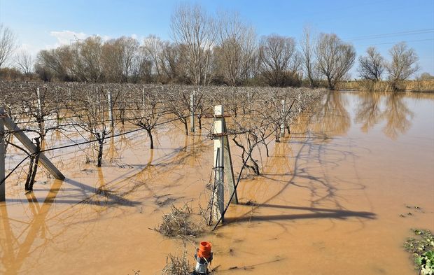 Gediz tarlaları yuttu!