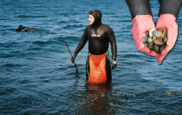 Denizde ekmek kavgası!