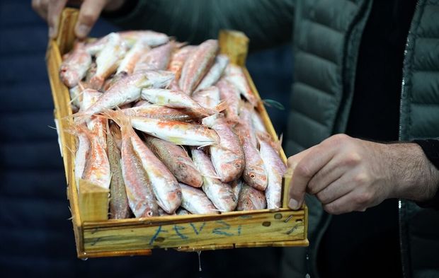 Egeli balıkçılar av sezonunu "mutlu" uğurluyor