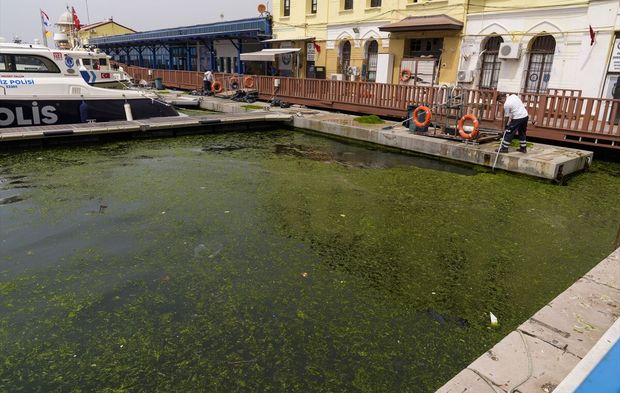 Yeşil kabus geri döndü!