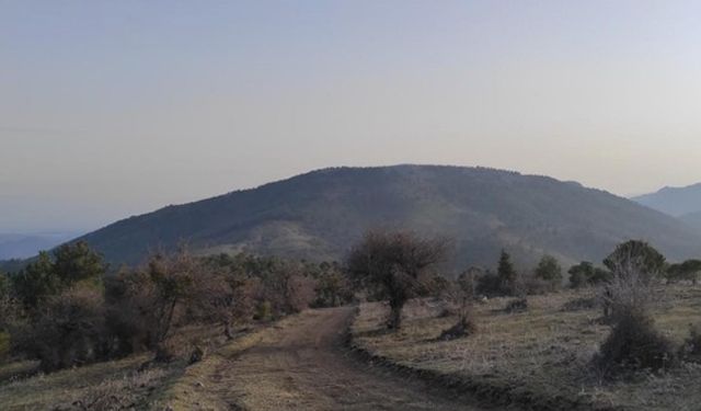 Bakanlık onay verdi… Tarım alanına RES darbesi!