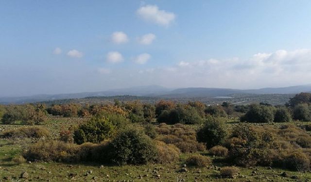 Bakanlıktan ‘külliye’ onayı!