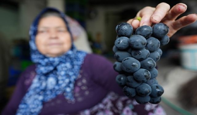 İzmir'in tescilli lezzetine çuvallı koruma!