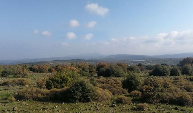 Külliye'yi inşa etmişti... Bergama'daki RES projesine nihai onay!