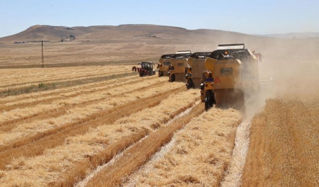 Mısır'la tarım alanında iş birliği