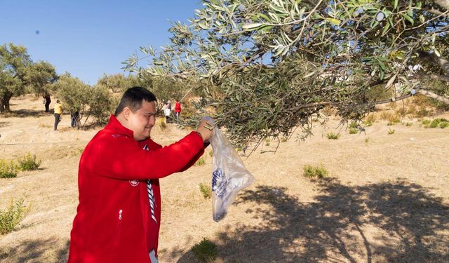 Engelli bireyler zeytin hasadında sosyalleşti