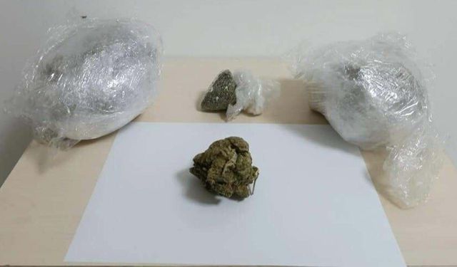 Ormanda 1 kilo skunk ele geçirildi: 3 gözaltı