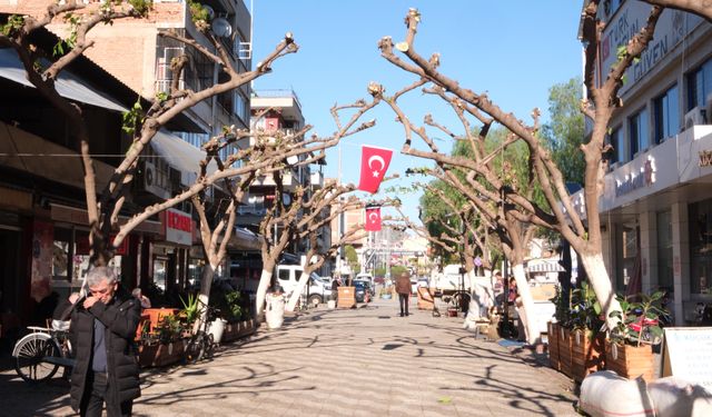 Aydın'da esnaflardan çalışmalara tam not