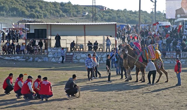 Muğla'da 24. Yatağan Deve Güreşi Festivali düzenlendi