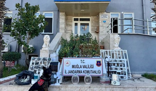 Muğla'da zehir operasyonu: 1 zanlı tutuklandı