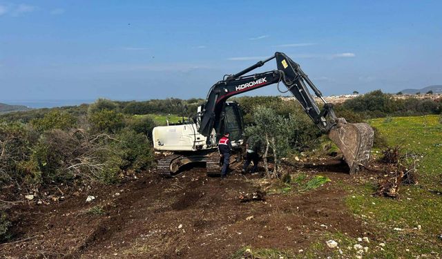 Hazine arazisinde kaçak kazı: 3 kişiye gözaltı