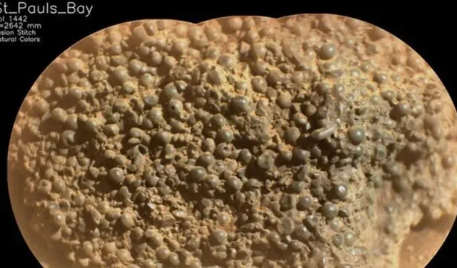 Mars’ta garip keşif: "Örümcek yumurtaları” bulundu!