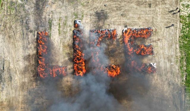 'Zehir' tarlası yakıldı: Liceliler kafayı buldu!