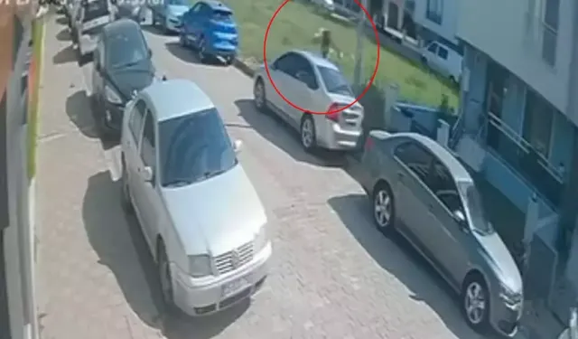 Köpeklerden kaçarken arabaya çarptı!