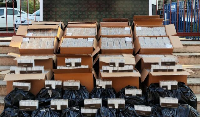 Manisa'da kaçakçılık baskını: 229 bin makaron ele geçirildi