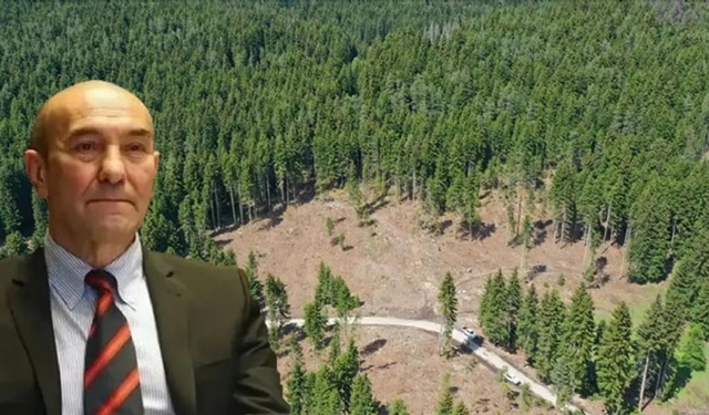 Soyer’den ‘180 binlik’ bilirkişi ücretine tepki: Adaletin önünde duvar!