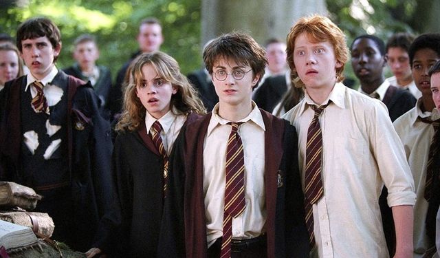 Harry Potter dizisinde yer alacak oyuncular açıklandı