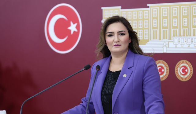 CHP'li Kılıç: Millet can derdinde, iktidar kanal derdinde!