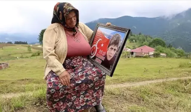 DEM Parti'den Eren Bülbül'ün annesine telefon