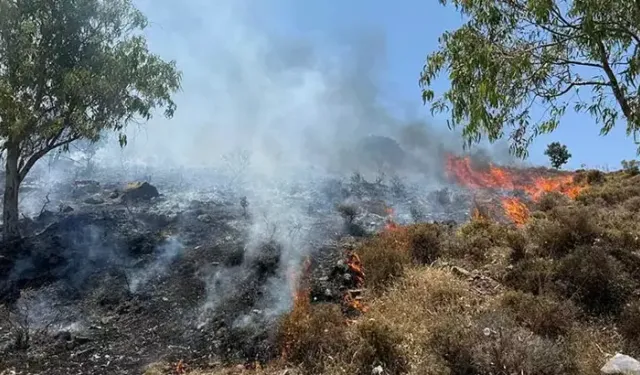 Muğla'da maki yangını!