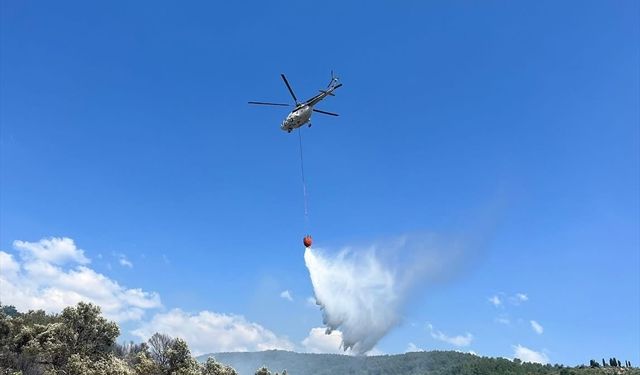 Muğla'da makilik ve zeytinlik alanda çıkan yangın söndürüldü
