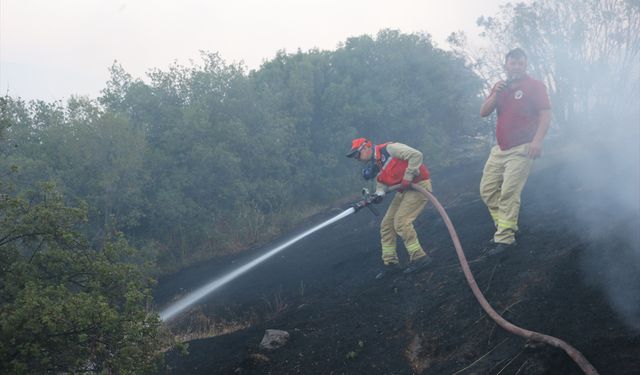 Manisa'da makilik alanda çıkan yangın söndürüldü