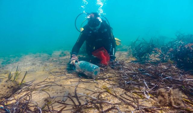 Bodrum'da deniz dibi temizliği!