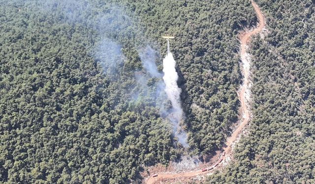 Manisa'daki orman yangını kontrol altına alındı!