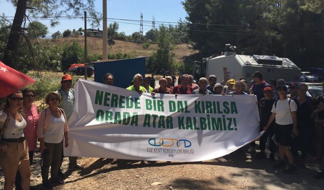 Ege Kent Konseyleri Birliği'nden 'zeytin yasası'na tepki!